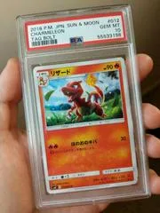 Charmeleon #12