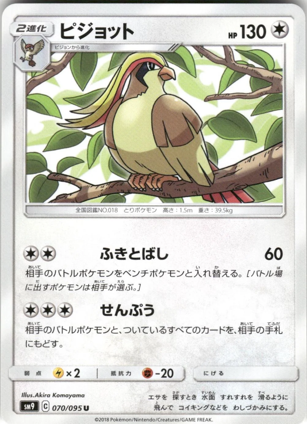 Pidgeot #70